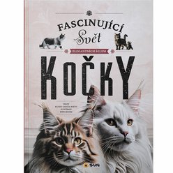 0045_fasinujici_kocky_01_482-8