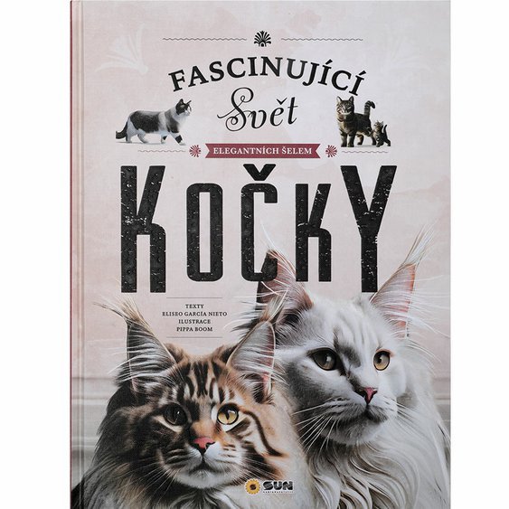 0045_fasinujici_kocky_01_482-8