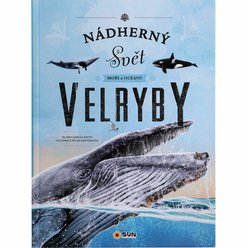 0053_velryby_01_482-5