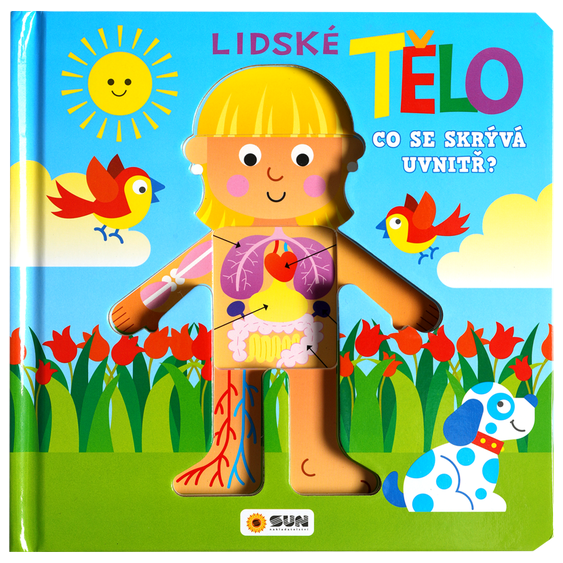 0064_lidske_telo_01_634-2