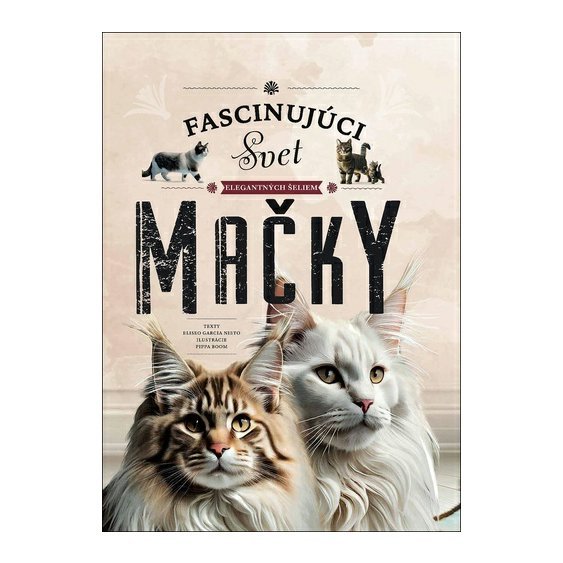 482-mackySK_12f7bdd5.jpg