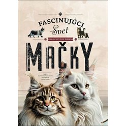 482-mackySK_12f7bdd5.jpg