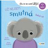 672-5_Smutny-obalka
