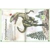 S7517 insthe-amazing-book-of-dinosaurs.jpg